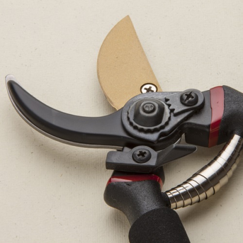 What are the differences between Japanese secateurs and shears?