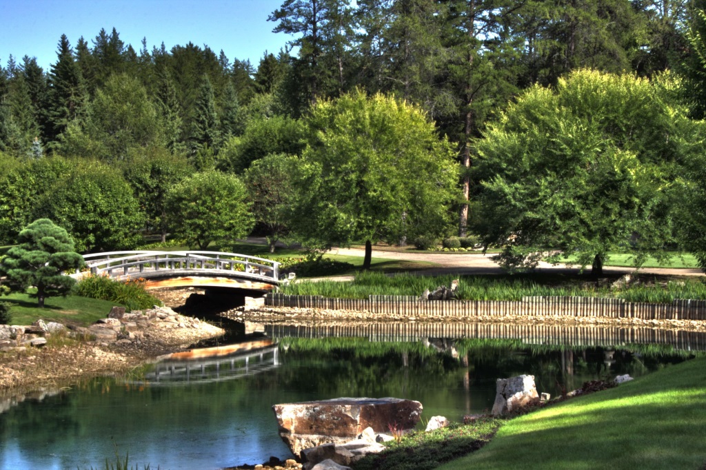 The Different Types & Elements of Japanese Gardens