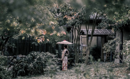 Enjoying Japanese Gardens in the Winter