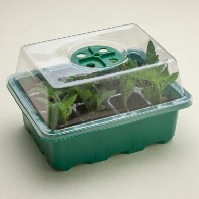 Seed Sowing Tray Kits