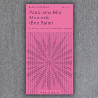 Panorama Mix Monarda (Bee Balm)