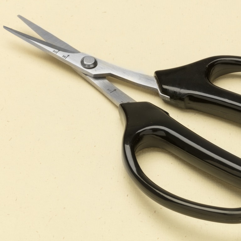 Japanese Garden scissors