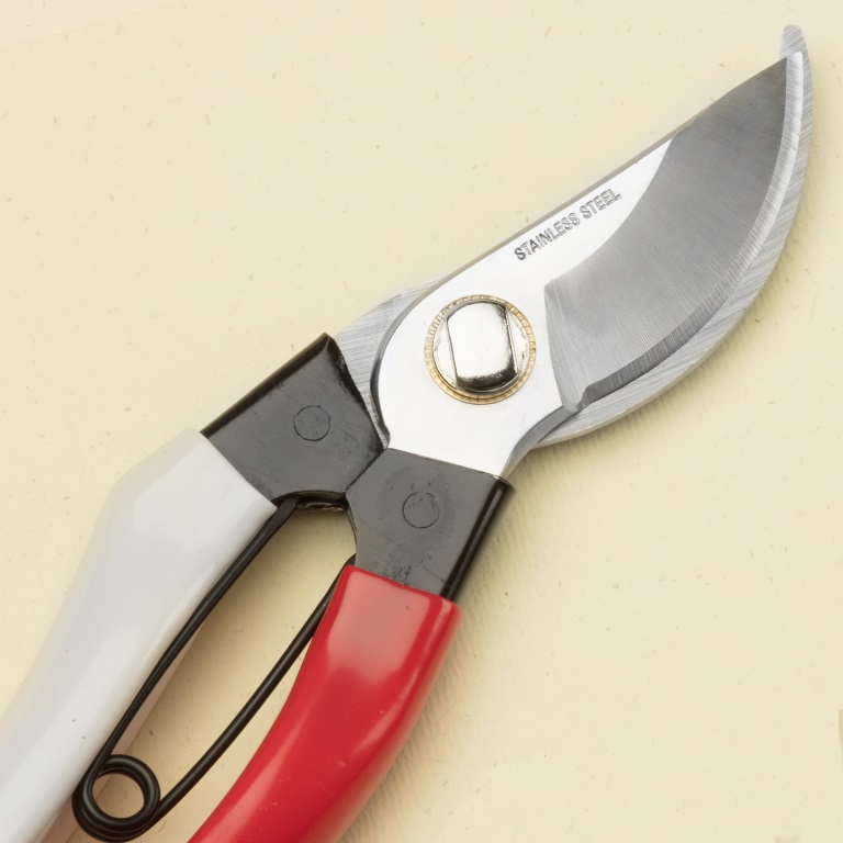 Stainless Steel Japanese Garden Secateurs