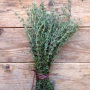 Thyme De Provence Seeds