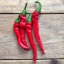 Hot Pepper Cayenne Long Slim seeds