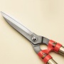 Extendable and Telescopic Japanese Garden Shears