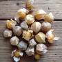 Cape Gooseberry Golden Berry 