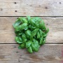 Italiano Classico (Genovese) Basil